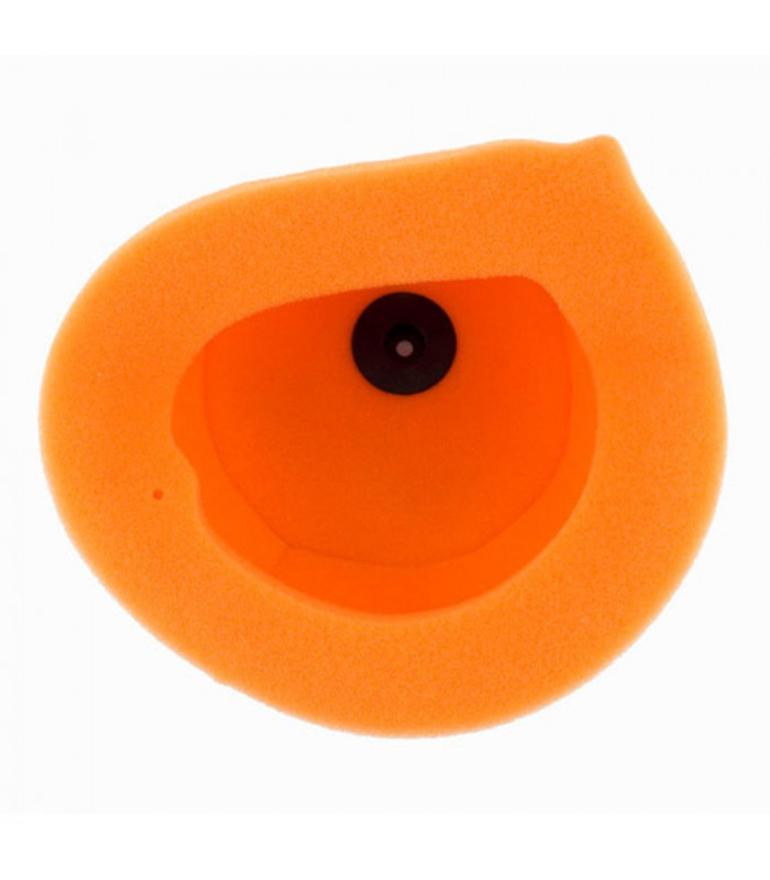 FILTRO AIRE TWIN AIR TM  2T ' 2008-12 / 4T ' 2001-12