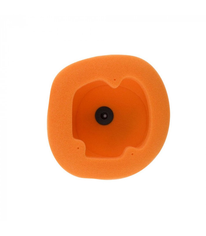 FILTRO AIRE TWIN AIR BETA RR, RS (2013-2019)