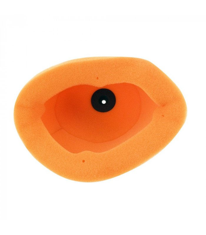 TWIN AIR AIR FILTER TM EN, MX (2013-2014) | TopFun.com