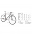 FRAMESET LEADER 725 2016 SEAFOAM GREEN