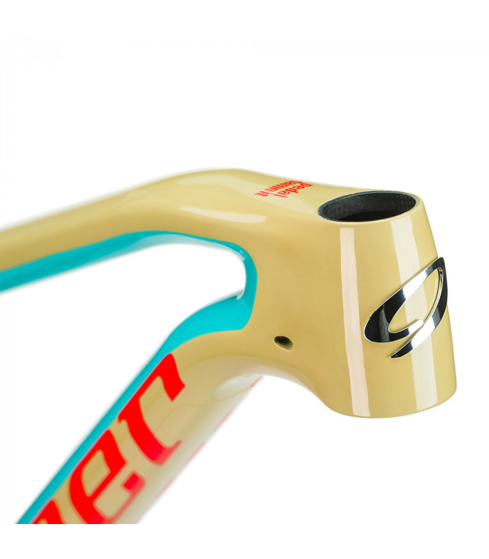 CUADRO NINER RIP 9 RDO 29  SANTA FE SAND.  FOX FACTORY