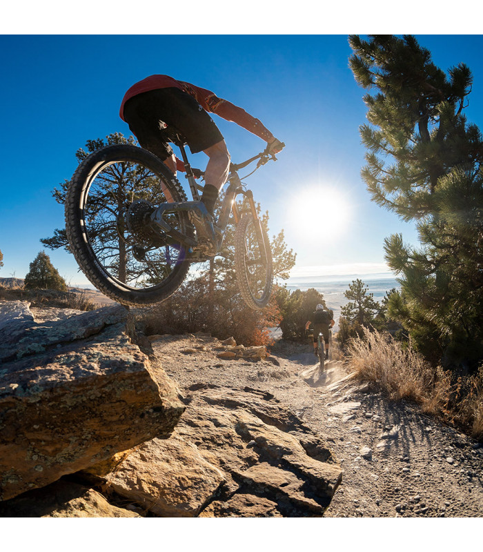 CUADRO NINER RIP 9 RDO 29  SANTA FE SAND.  FOX FACTORY