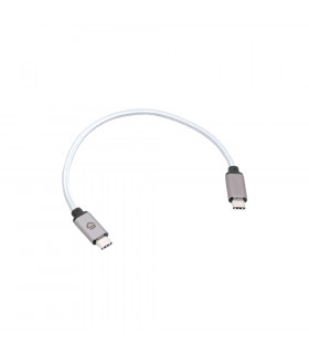 CABLE CONECTOR USB-C CINQ (25 CM) | TopFun.com