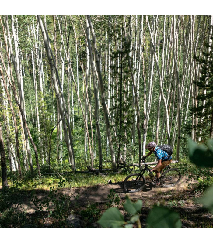 CLUB RIDE NEW WEST SHIRT (BLUE/WHITE) | TopFun.com