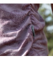 CLUB RIDE DANDY CUTE WOMEN T-SHIRT (ELDERBERRY) | TopFun.com