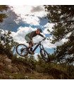 BICICLETA ELÉCTRICA NINER RIP E9 3-STARS | TopFun.com