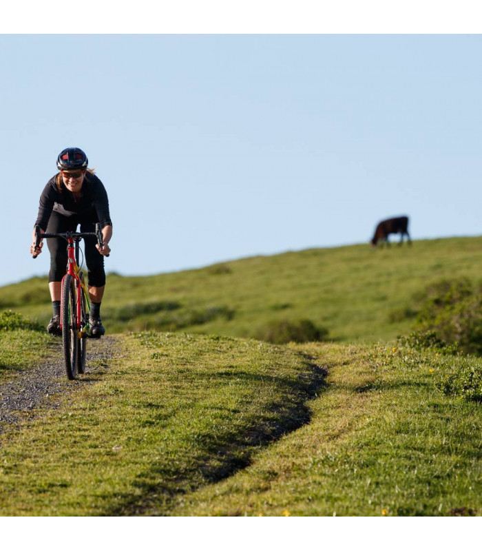 WTB RESOLUTE TCS LIGHT FAST ROLLING (650b x 42/LATERAL MARRÓN)