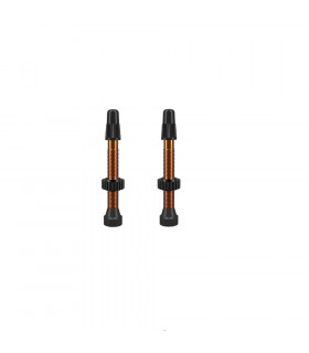 WTB TCS ALU VALVES SET (46 MM)