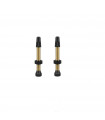 WTB TCS BRASS VALVES SET (46 MM)