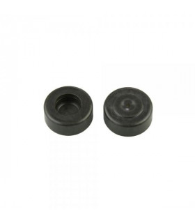 PISTONES PINZA FRENO FORMULA RX