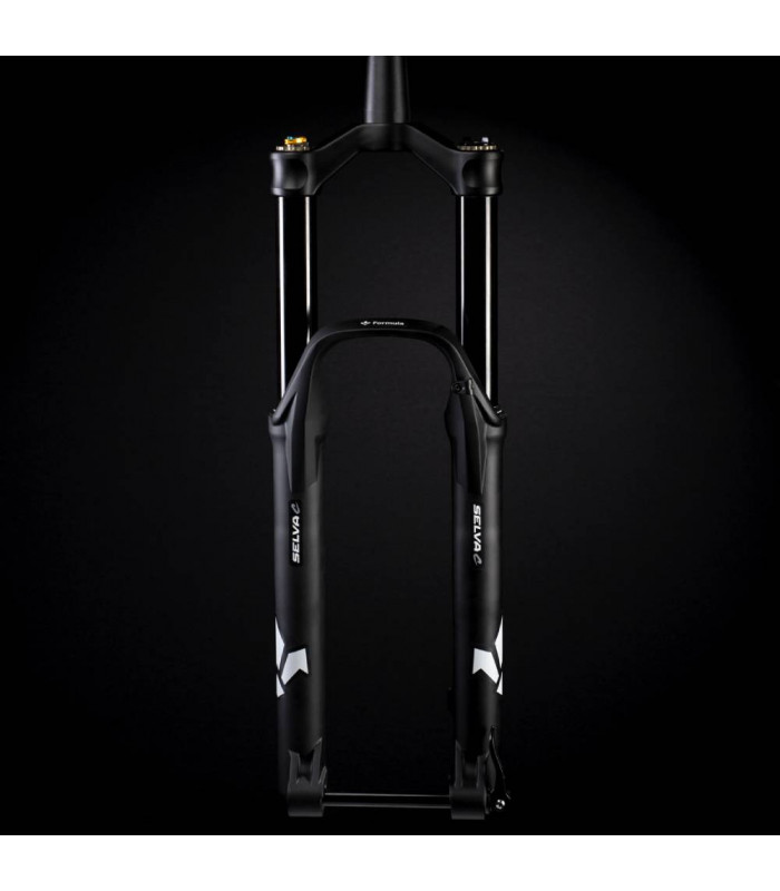 FORMULA SELVA C 29"/27'5" PLUS FORK (170 MM/QR15 BOOST)
