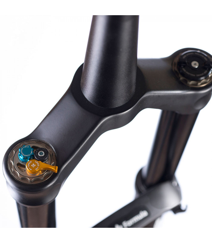 FORMULA SELVA C 29"/27'5" PLUS FORK (170 MM/QR15 BOOST)