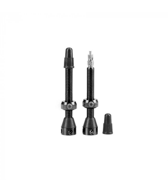 TUBOLIGHT BRASS VALVES (BLACK) | TopFun.com