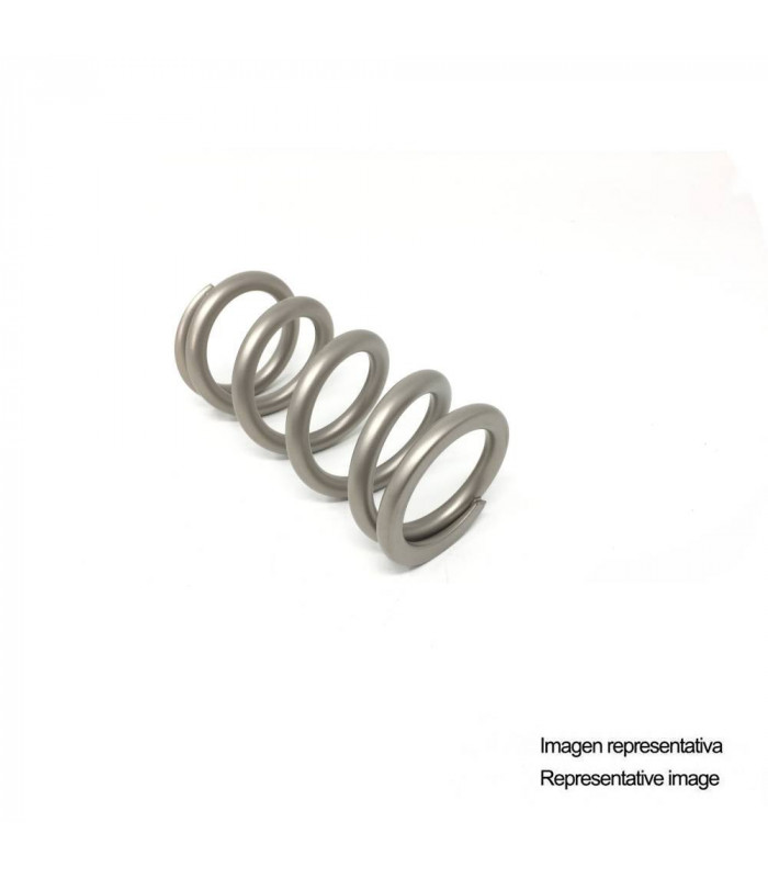 MUELLE AMORTIGUADOR FORMULA MOD (55 X 450) | TopFun.com