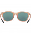 GAFAS BOLLE TALENT MOCHA TRANSPARENT MATTE (LENTES TNS) | TopFun.com