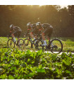 ERGON SR PRO CARBON MEN SADDLE (STEALTH)