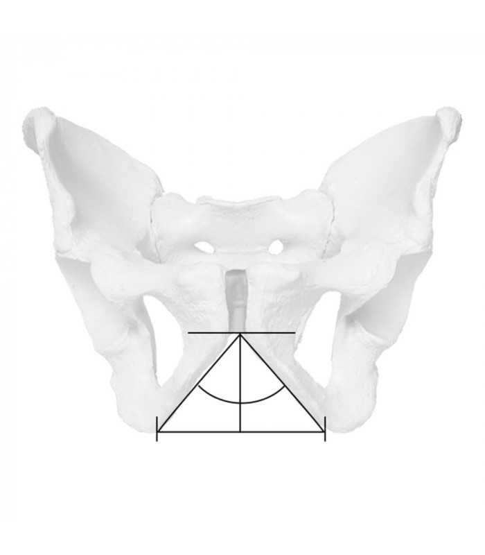 ERGON SR COMP MEN SADDLE (BLACK)