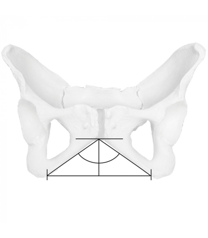 ERGON SR SPORT GEL WOMEN SADDLE (BLACK)