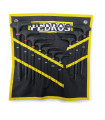 PEDRO'S MASTER T-HANDLE SET (10 PIECES)