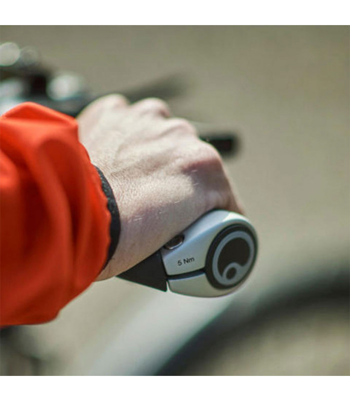 ERGON GP1 GRIPS (GRIPSHIFT)
