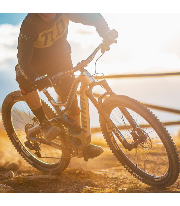 NINER RIP 9 RDO FRAME (SILVER/BAJA BLUE)