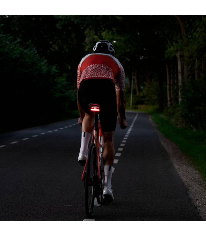 CLOSETHEGAP COVERMYBACK 2+ REAR FENDER + LIGHT