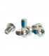 FORMULA STEEL ROTOR BOLTS SET (6 PIECES)