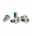 FORMULA STEEL ROTOR BOLTS SET (6 PIECES)
