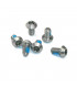 TITANIUM SCREWS KIT FOR FORMULA ROTORS