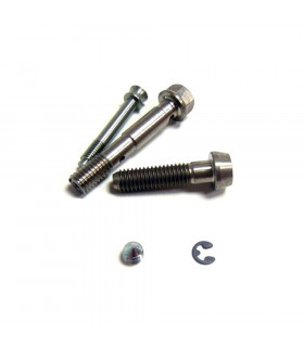 FORMULA ORO PURO CALIPER SCREWS KIT