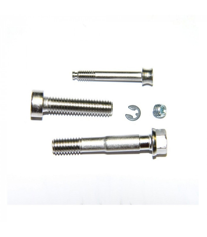 FORMULA ORO PURO CALIPER SCREWS KIT (2008)
