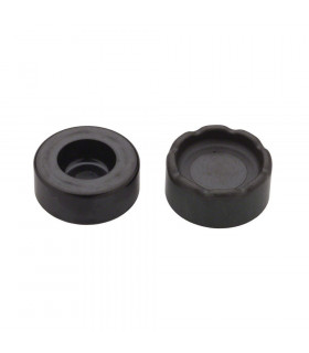 PISTONES PINZA FRENO FORMULA R1