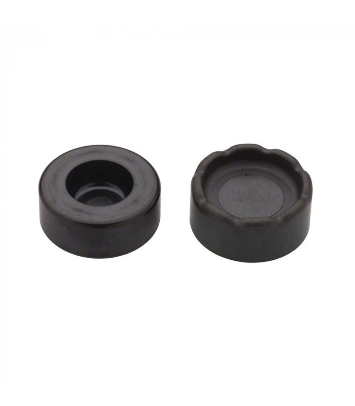 FORMULA R1 CALIPER PISTONS KIT