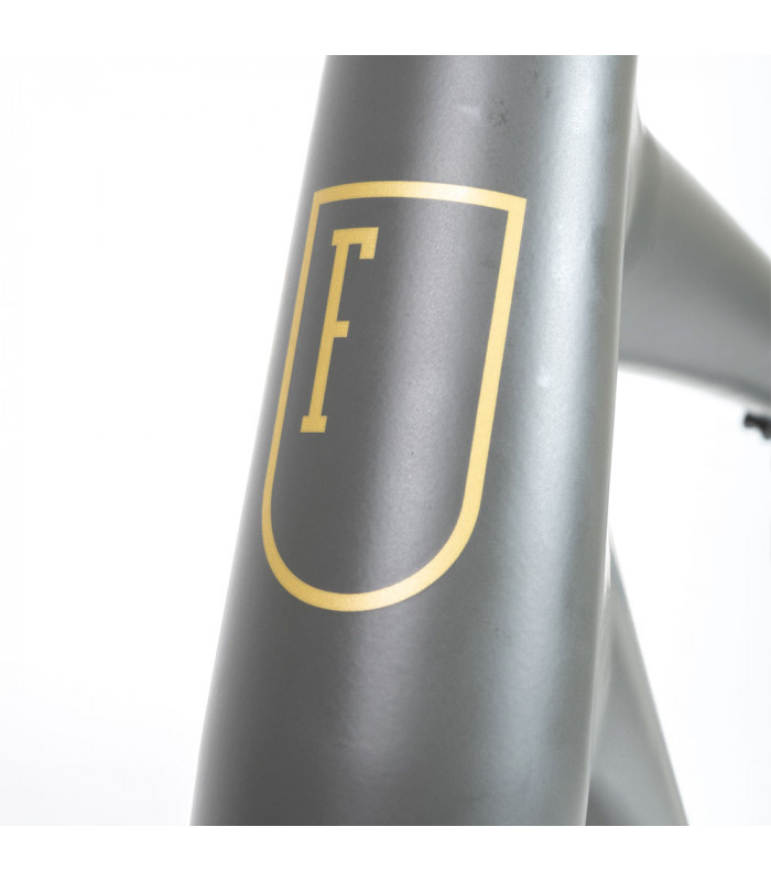 FINNA LANDSCAPE ALU FRAME + CARBON FORK (COOL GREY/GOLD)