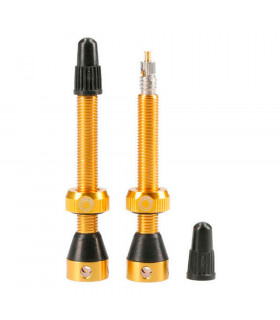TUBOLIGHT ALUMINUM VALVES (GOLD) | TopFun.com