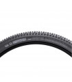 WTB RANGER TCS LIGHT FAST ROLLING DUAL DNA SG2 (29" X 2.25)