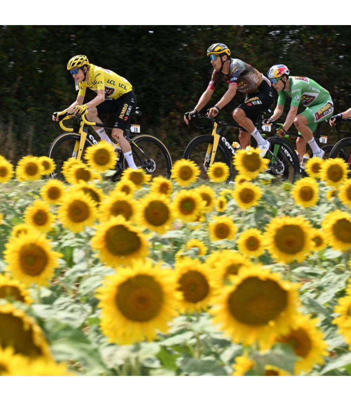 TOPES MANILLAR CLOSETHEGAP SAVEMYBAR (AMARILLO)