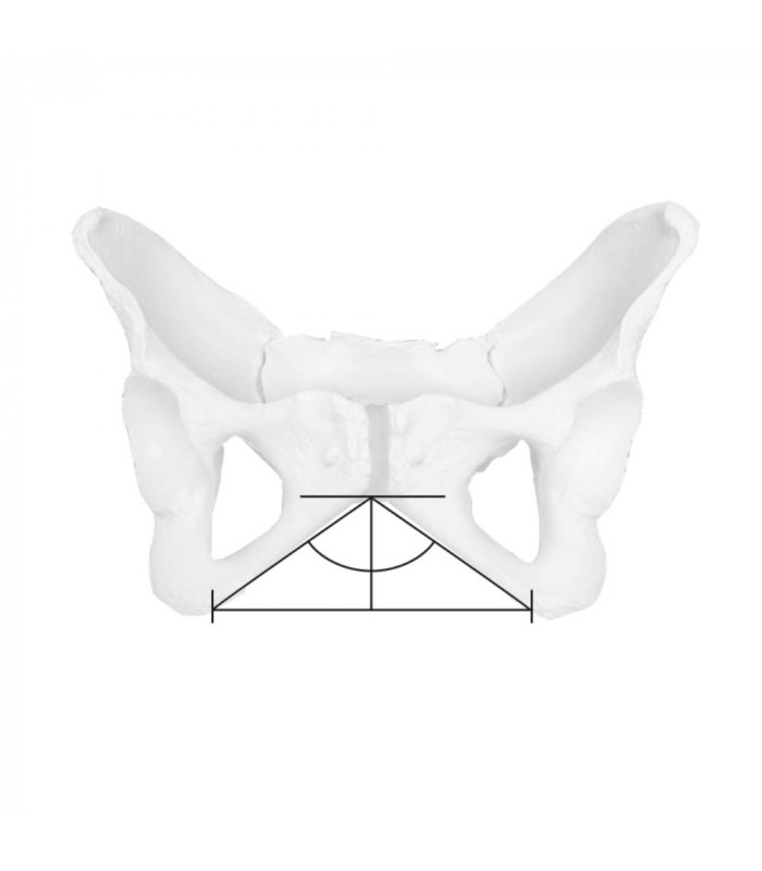 SILLÍN ERGON SF WOMEN (NEGRO)