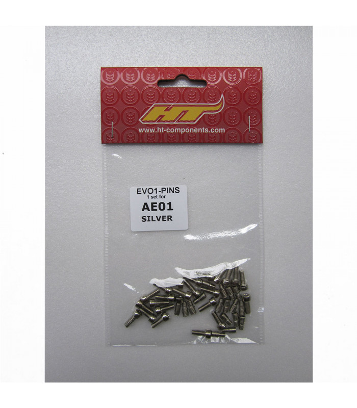 HT AE01, ME01 STEEL PINS (SILVER/OLD MODELS)