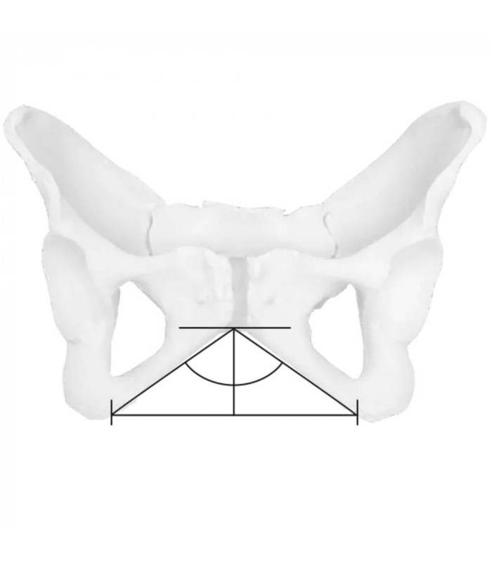 SILLÍN ERGON SM SPORT GEL WOMEN (STEALTH)