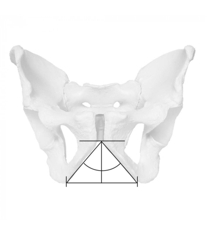 SILLÍN ERGON SF SPORT GEL MEN