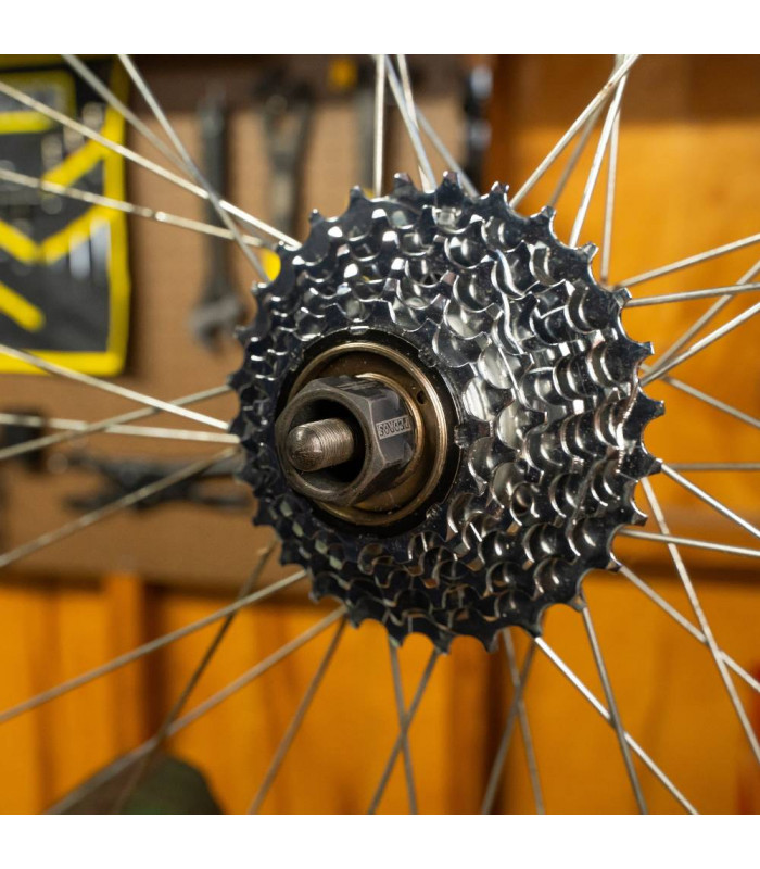 PEDRO'S FREEWHEEL SOCKET, MULTI-SPEED 12-SPLINE x 23 MM