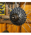 PEDRO'S FREEWHEEL SOCKET, MULTI-SPEED 12-SPLINE x 23 MM