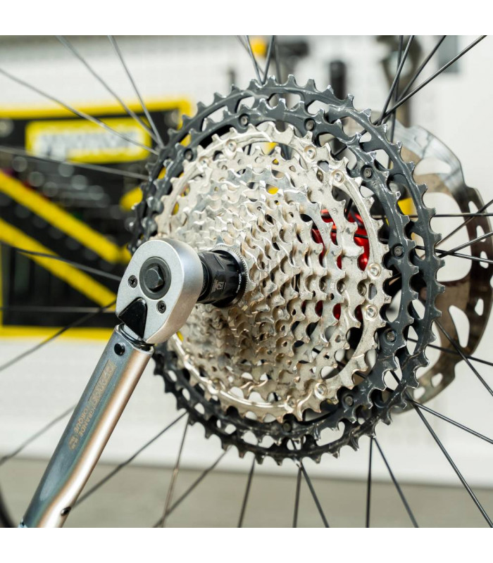 PEDRO'S PRO CASSETTE LOCKRING SOCKET