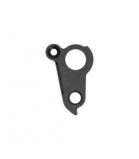 PILO D1182 DERAILLEUR HANGER MASSI, PRIVATEER, SPAWN