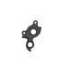 PILO D1115 DERAILLEUR HANGER QUINTANA ROO