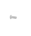 TORNILLO TAPA MOTOR POLINI (M4x10)
