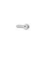 TORNILLO TAPA MOTOR POLINI (M4x10)