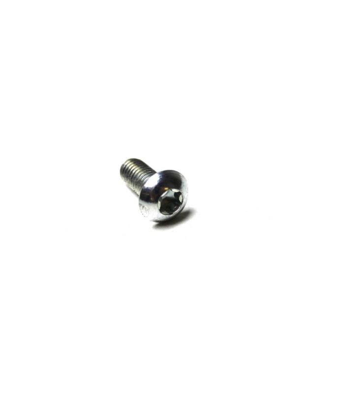 POLINI E-P3 BATTERY HOSE FIXING SCREW (M3,5 X 16)