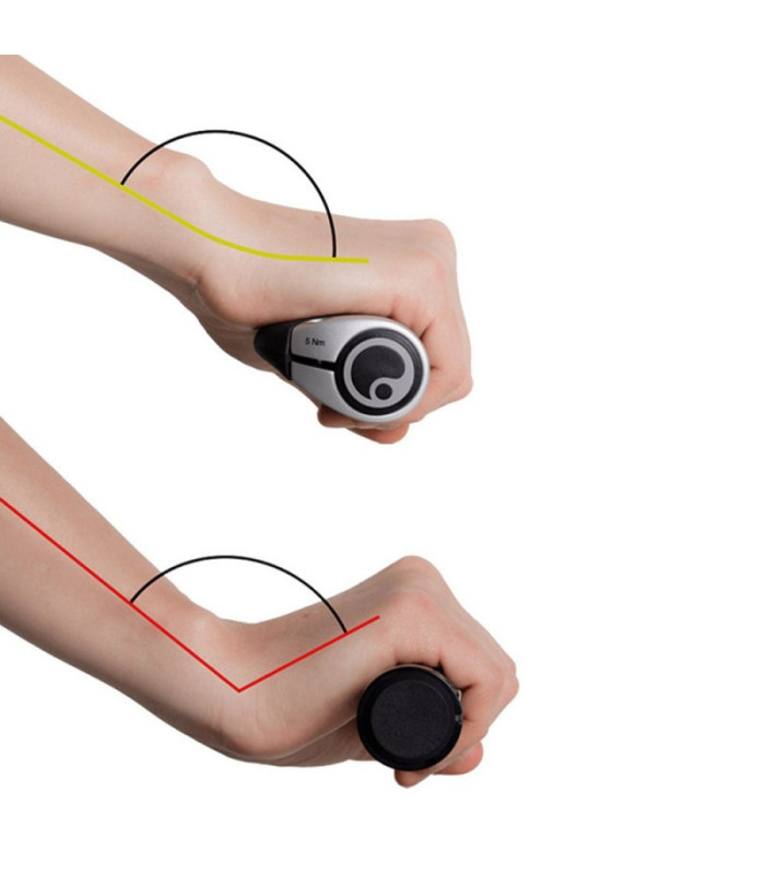 ERGON GP3 GRIPS (ROHLOFF-NEXUS)